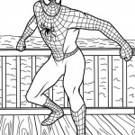Dibujo para colorear de Spiderman