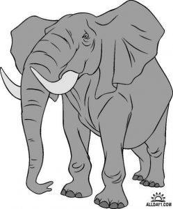 Dibujo Elefantes 1495031214