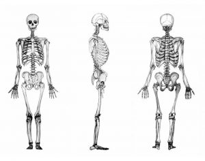 Dibujo Esqueletos 1507019755
